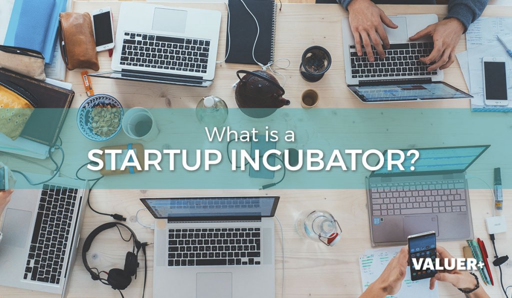 incubator vs startup